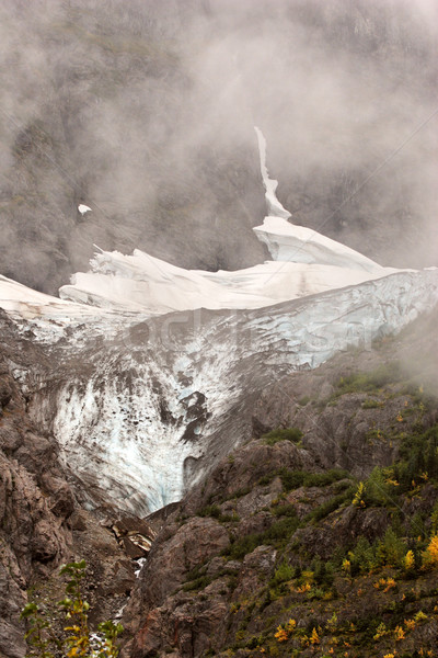 Icefield in Bear Glacier National Parkof British Columbia Stock photo © pictureguy