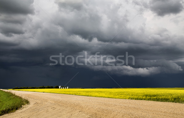 Gewitterwolken Saskatchewan Prärie Szene Himmel Natur Stock foto © pictureguy