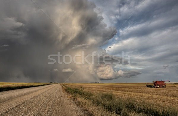 Prärie Straße Gewitterwolken Saskatchewan Kanada Bereich Stock foto © pictureguy
