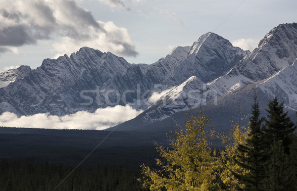 Autumn in the Rockies Stock photo © pictureguy