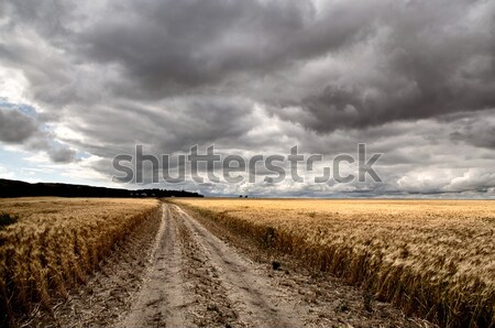 Storm Clouds Saskatchewan Stock photo © pictureguy