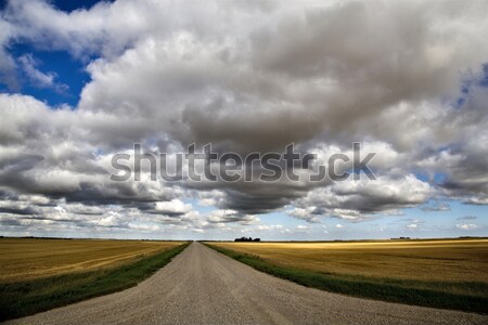 Gewitterwolken Saskatchewan Prärie Szene Kanada Bauernhof Stock foto © pictureguy