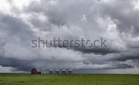 Pradera nubes de tormenta siniestro tiempo saskatchewan Canadá Foto stock © pictureguy