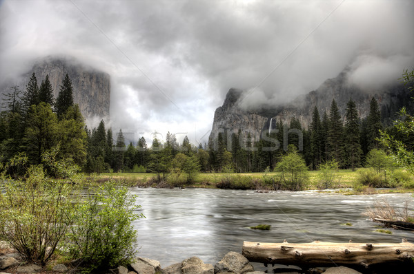 Yosemite National Park Stock photo © pictureguy