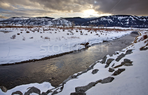 Yellowstone Park Wyoming Winter Snow Stock photo © pictureguy
