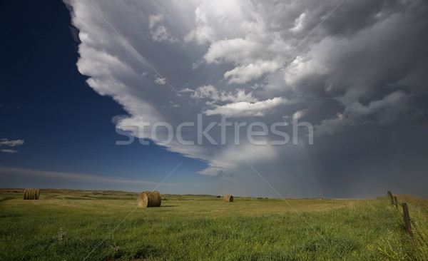 Prairie Hail Storm and Rainbow Stock photo © pictureguy