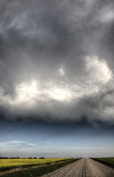 Gewitterwolken Saskatchewan Wolken Schotterstraße Himmel Natur Stock foto © pictureguy