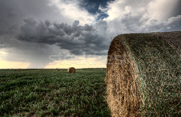 Gewitterwolken Saskatchewan hay Himmel Natur Landschaft Stock foto © pictureguy