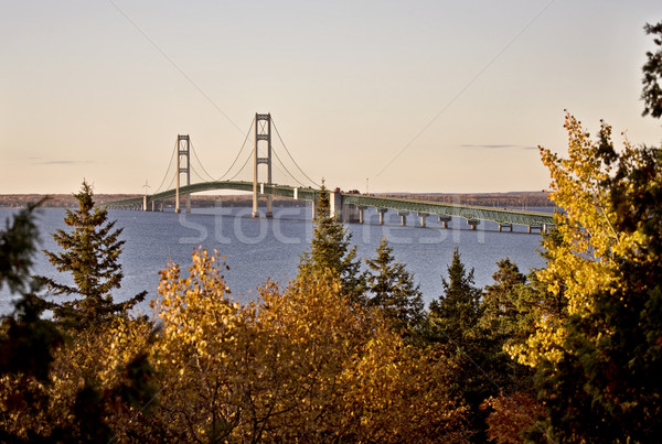 Cidade ponte Michigan outono cair carros Foto stock © pictureguy