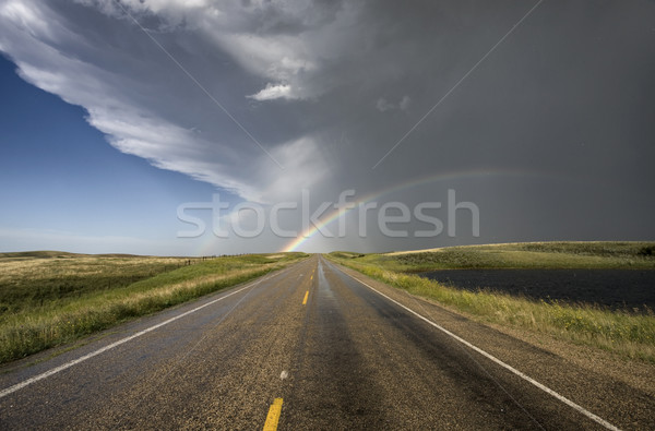 Prärie Sturm Regenbogen Saskatchewan Kanada Stock foto © pictureguy