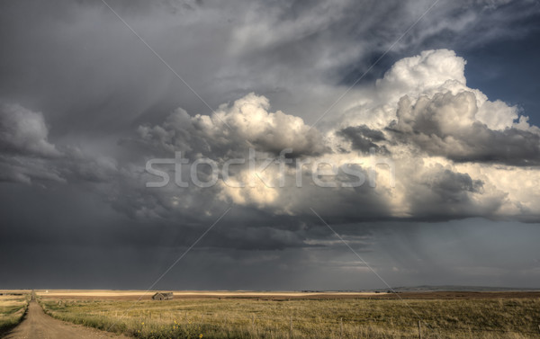 Gewitterwolken Saskatchewan Wolken Schotterstraße Himmel Natur Stock foto © pictureguy