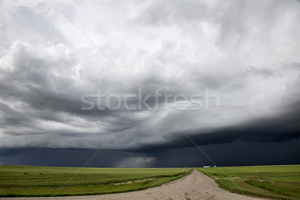 Gewitterwolken Saskatchewan Prärie Szene Kanada Bauernhof Stock foto © pictureguy