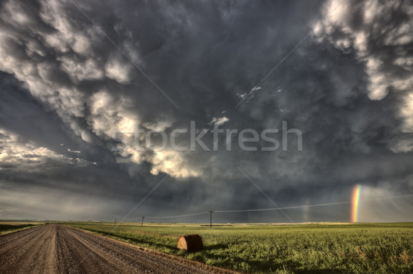 Saskatchewan nubi strada sterrata cielo natura Foto d'archivio © pictureguy
