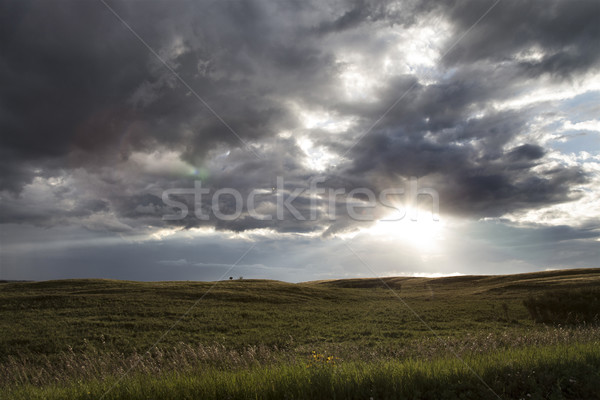 Fırtına bulutları saskatchewan kır sahne gökyüzü doğa Stok fotoğraf © pictureguy