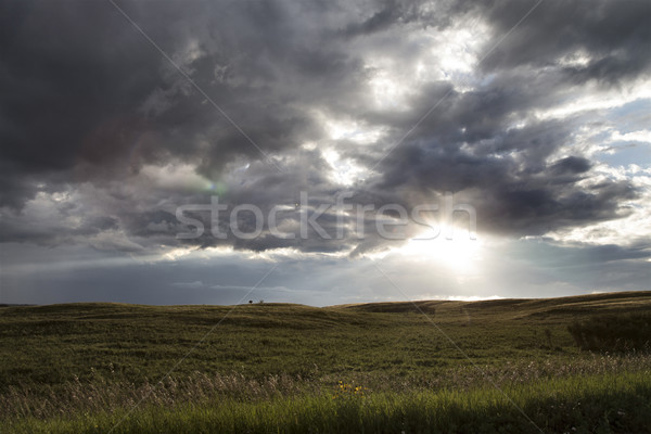 Gewitterwolken Saskatchewan Prärie Szene Himmel Natur Stock foto © pictureguy