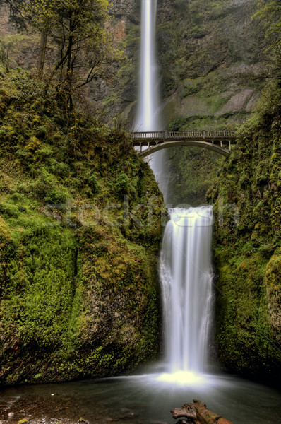 オレゴン州 川 水 緑 美しい ストックフォト © pictureguy