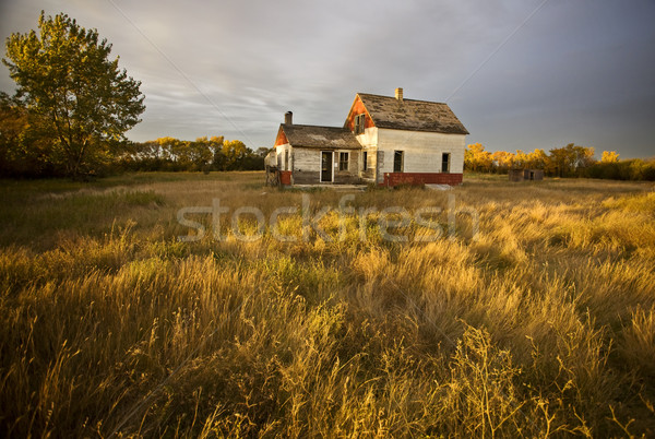 Abandoned Farmhouse Stock photo © pictureguy