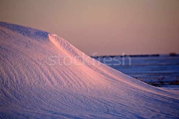 Low lighting on pattern snow cover Stock photo © pictureguy