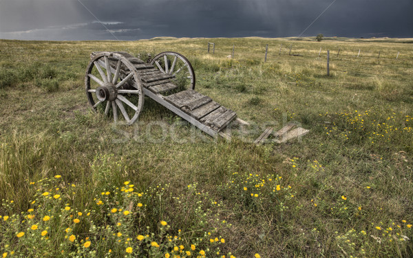 Vecchio prateria ruota cart saskatchewan Canada Foto d'archivio © pictureguy