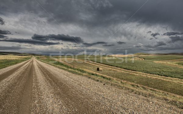 Prairie Road Storm Clouds Stock photo © pictureguy