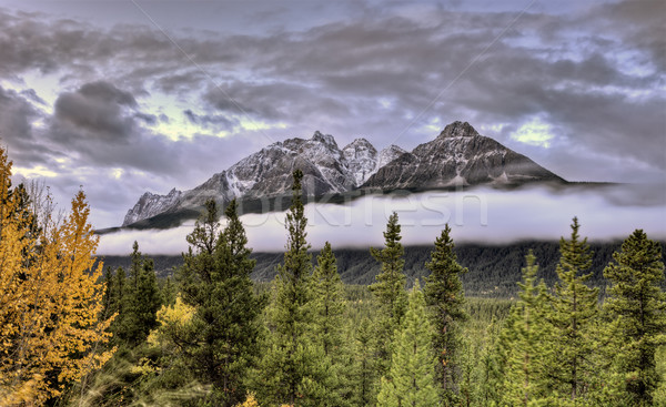 Scenic View Rocky mountains Stock photo © pictureguy
