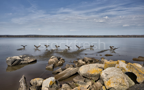 Ashland Wisconson Lake Front Stock photo © pictureguy