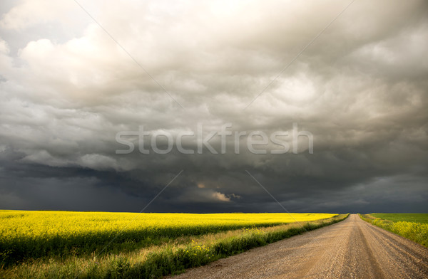 Gewitterwolken Saskatchewan Prärie Szene Kanada Bauernhof Stock foto © pictureguy