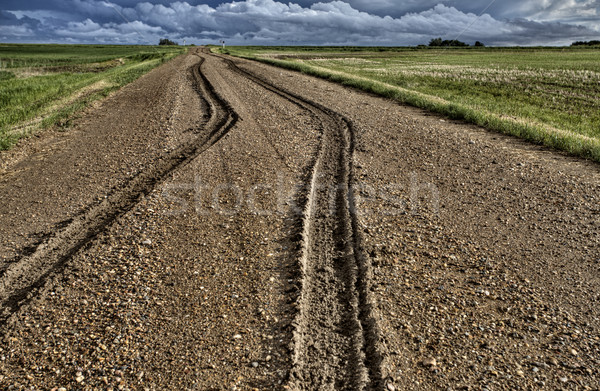 Mud Tire Tracks Stock photo © pictureguy