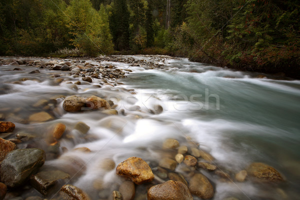 Water flow along Small Creek in beautiful British Columbia Stock photo © pictureguy