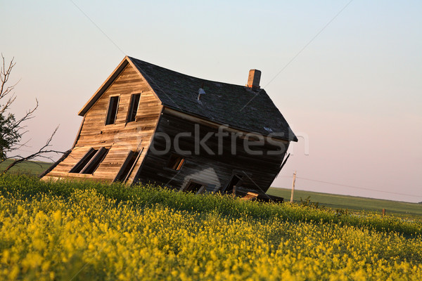Verwitterten alten Bauernhof Haus szenische Saskatchewan Stock foto © pictureguy