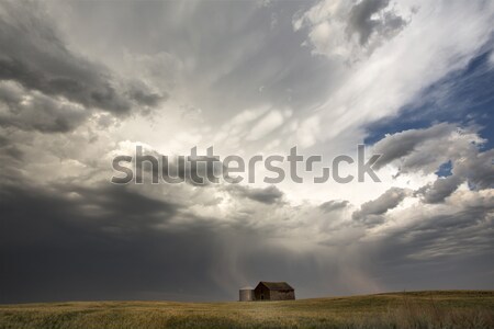 cumulonimbus cloud behind lone tree Stock photo © pictureguy