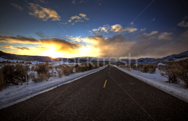 Yellowstone Park Wyoming Winter Snow Stock photo © pictureguy