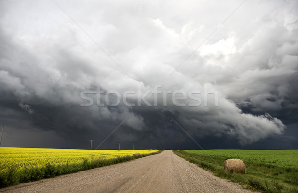Gewitterwolken Saskatchewan Prärie Szene Kanada Bauernhof Stock foto © pictureguy