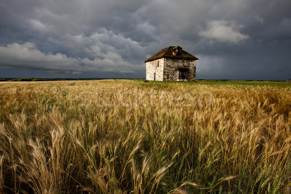 Zdjęcia stock: Burzowe · chmury · preria · niebo · kamień · domu · Kanada