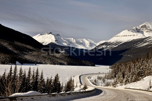 Rocky Mountains in Winter Canada Stock photo © pictureguy