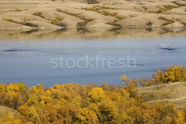 See Saskatchewan tief blau Fluss Kanada Stock foto © pictureguy