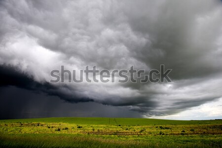 Gewitterwolken Saskatchewan Prärie Szene Himmel Natur Stock foto © pictureguy