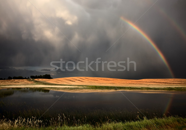 Hail Storm and Rainbow Stock photo © pictureguy
