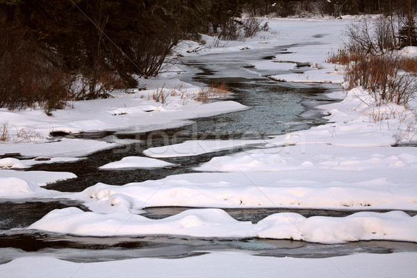 Waskesui River in winter Stock photo © pictureguy