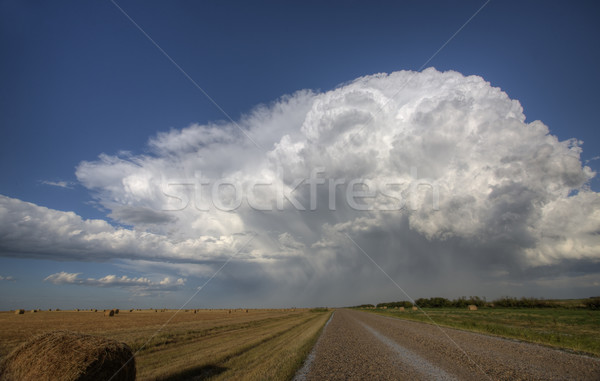 Prärie Straße Gewitterwolken Saskatchewan Kanada Bereich Stock foto © pictureguy