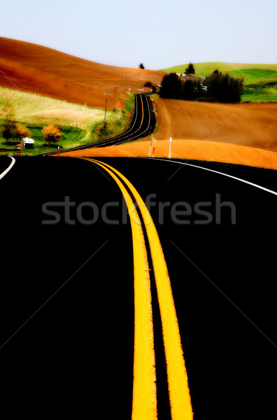 風光明媚な ワシントン 新しい 道路 黄色 行 ストックフォト © pictureguy