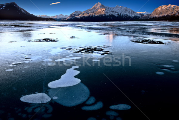 Abraham Lake Winter Stock photo © pictureguy