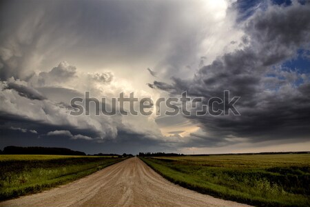 Foto d'archivio: Prateria · strada · saskatchewan · Canada · campo