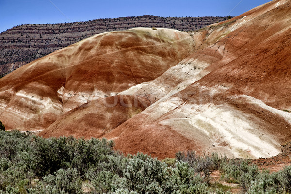 окрашенный холмы Орегон красочный мнение красный Сток-фото © pictureguy