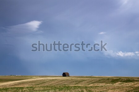 Nuages ​​d'orage saskatchewan prairie scène Canada ferme [[stock_photo]] © pictureguy