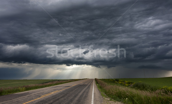 Onweerswolken prairie hemel Canada gevaar Stockfoto © pictureguy