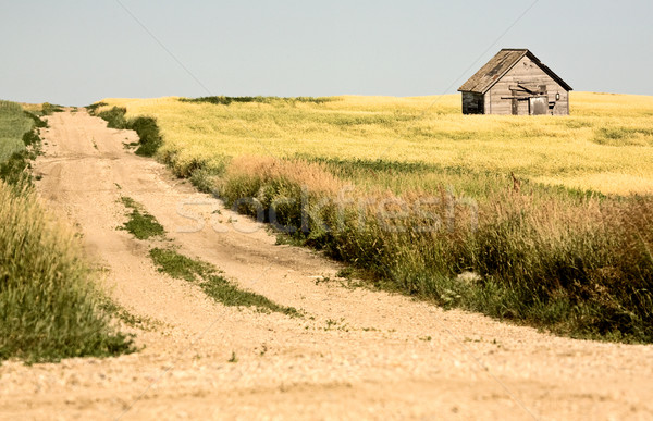 Rural Saskatchewan Stock photo © pictureguy