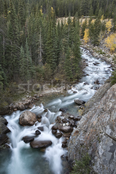 Athabasca River Rocky Mountains Stock photo © pictureguy