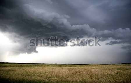 Zdjęcia stock: Burzowe · chmury · saskatchewan · niebo · charakter