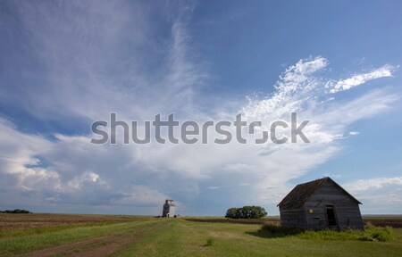 Gewitterwolken Saskatchewan Himmel Baum Wolken Gras Stock foto © pictureguy